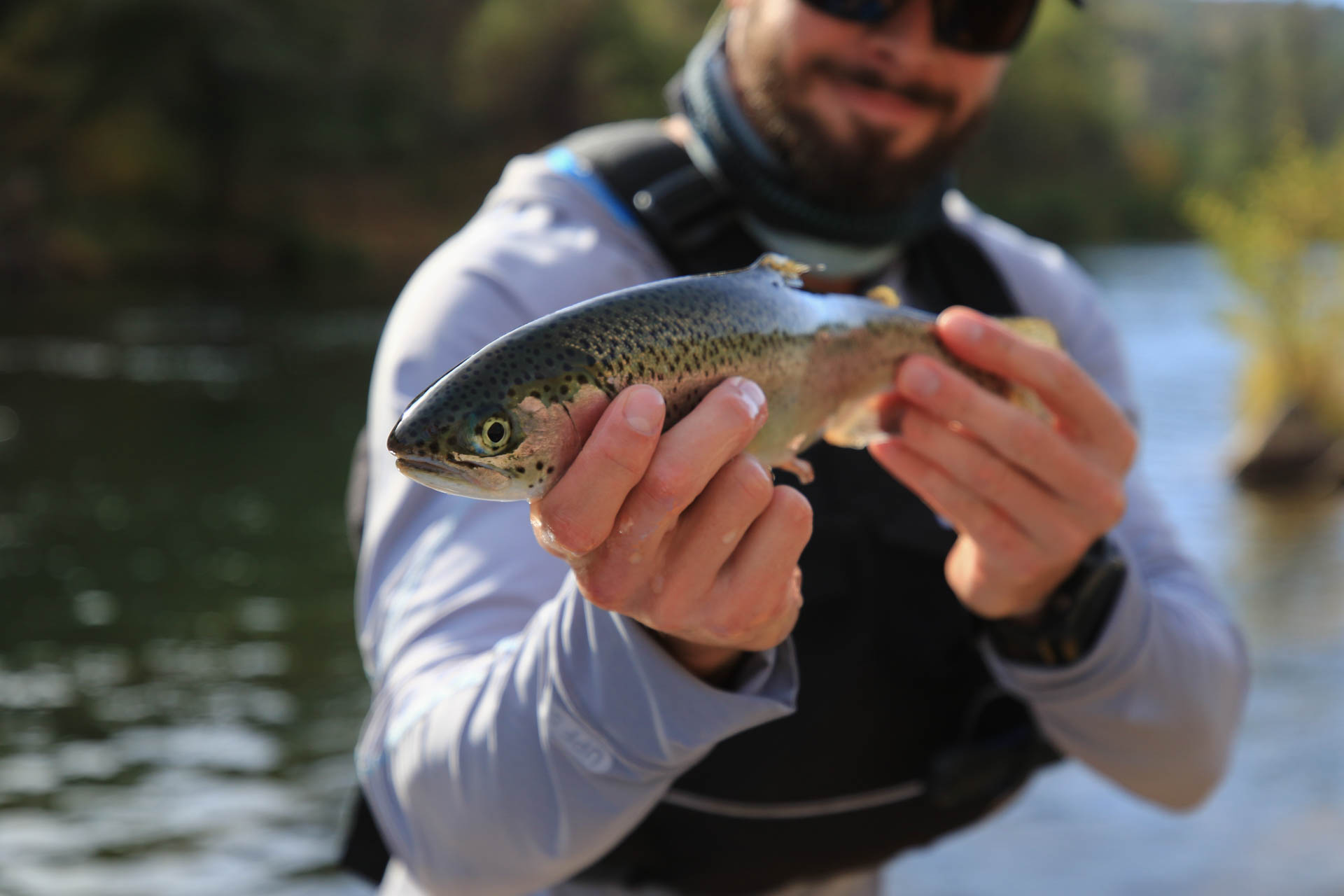 Fly Fisherman, Ben shows off his catch before releasing it back into the river.